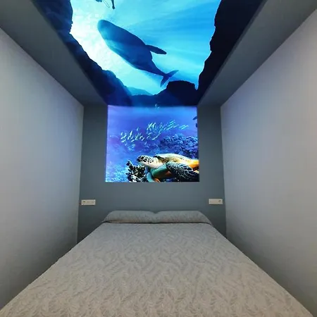 Casa Cetaceo *