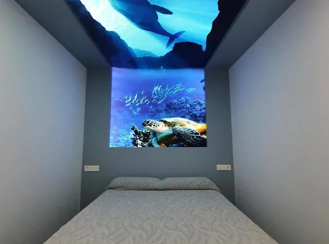 Casa Cetaceo *
